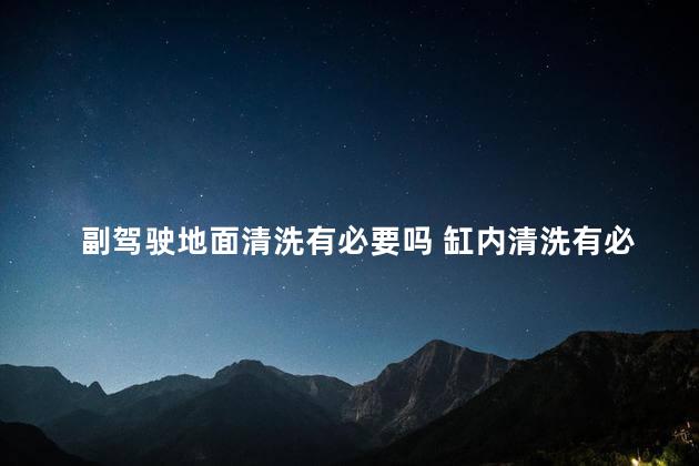 副驾驶地面清洗有必要吗 缸内清洗有必要吗